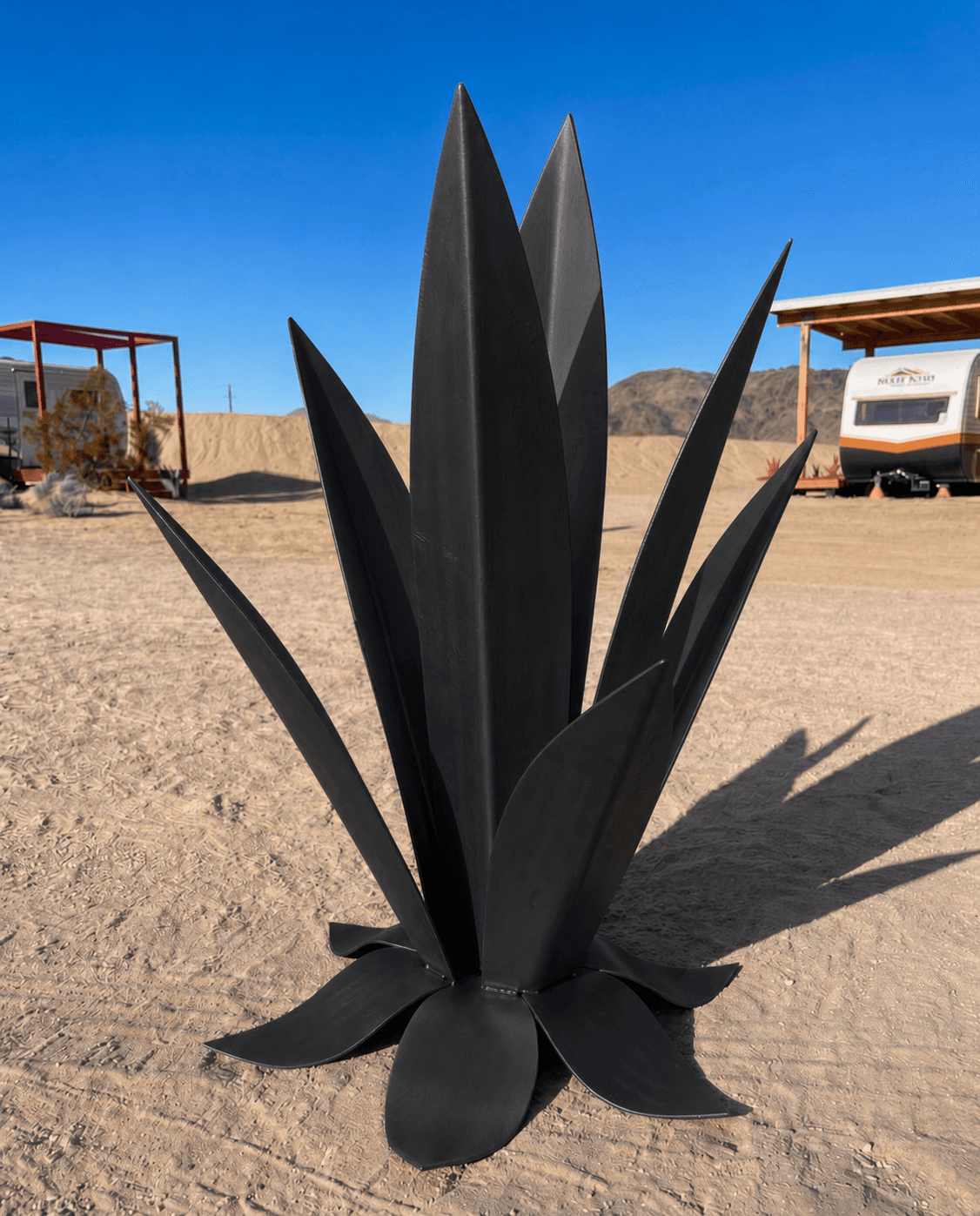 Axel Agave in Matte Black, 24 in