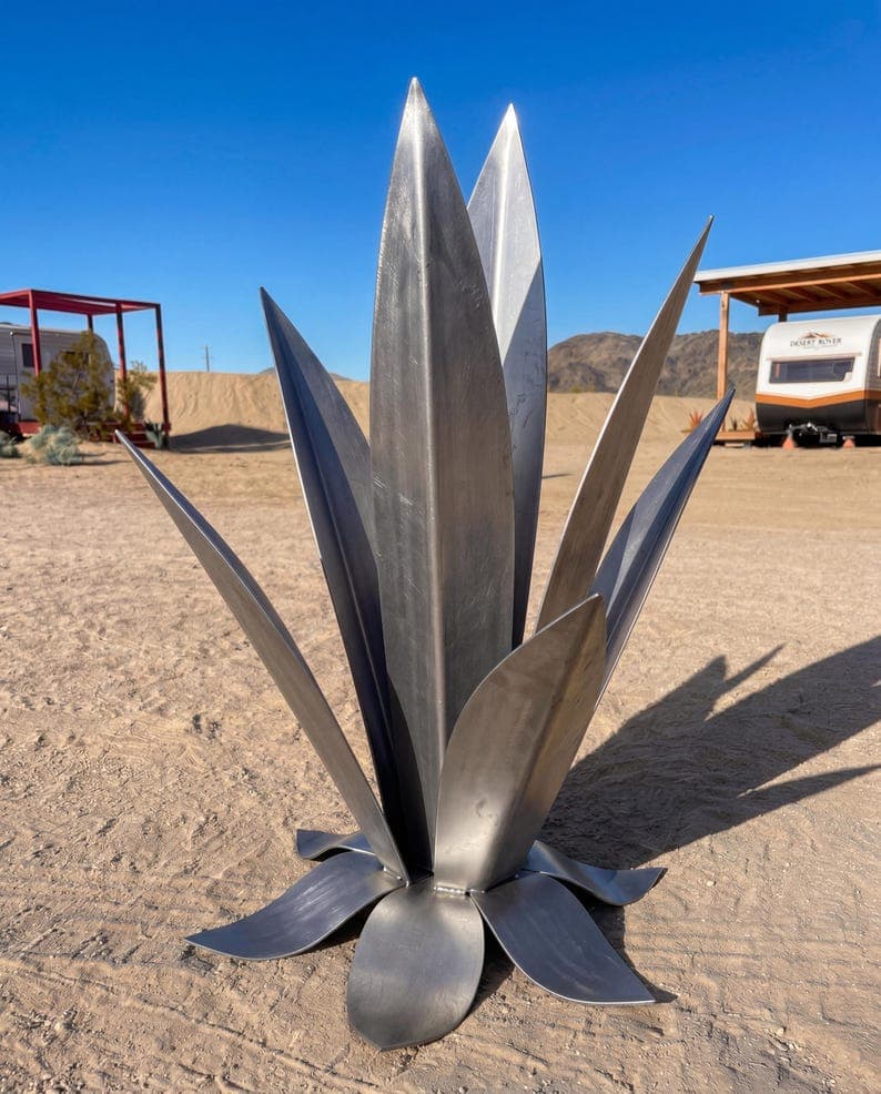 Axel Agave in Silver, 24 in