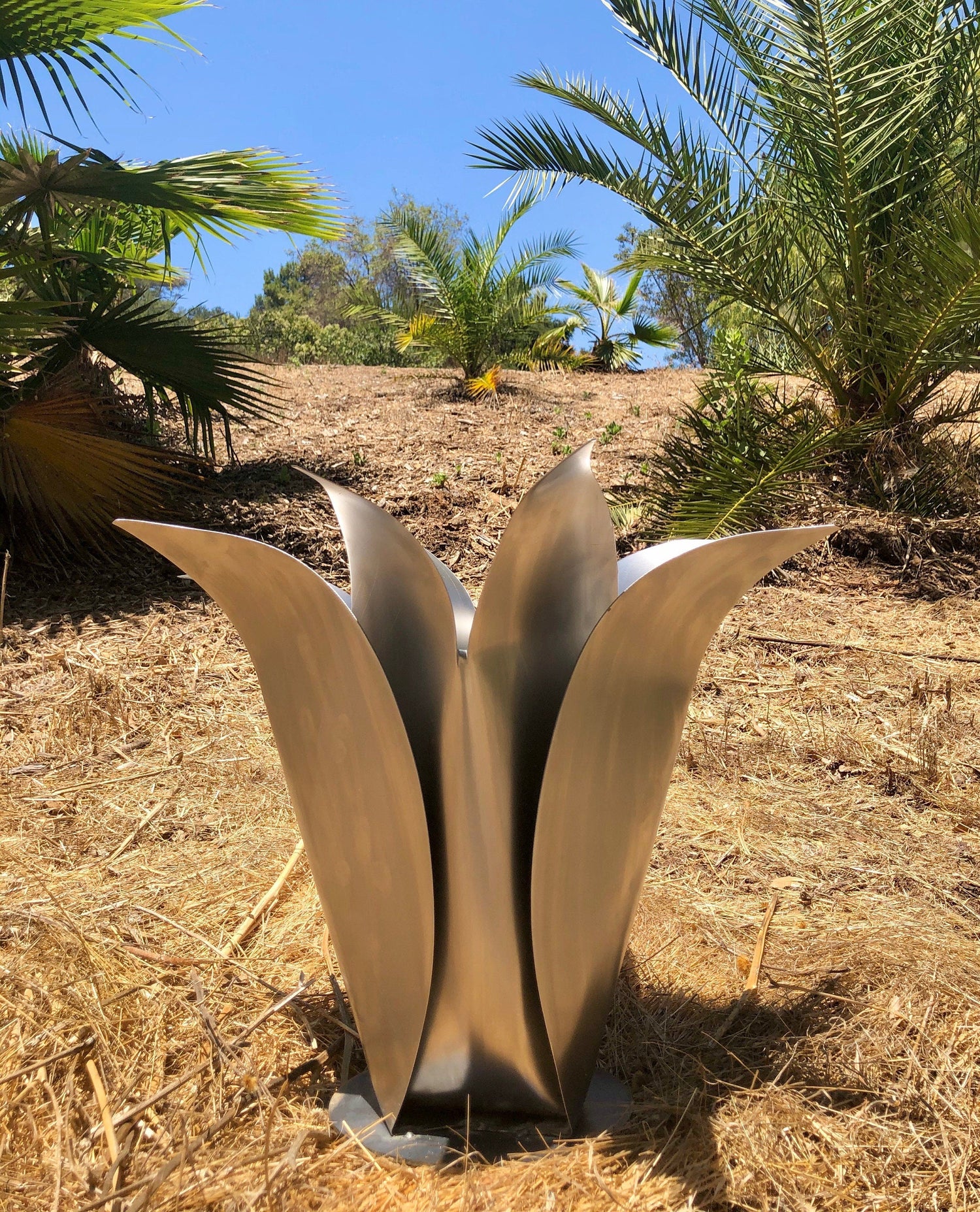 Flowers / Garden Plant