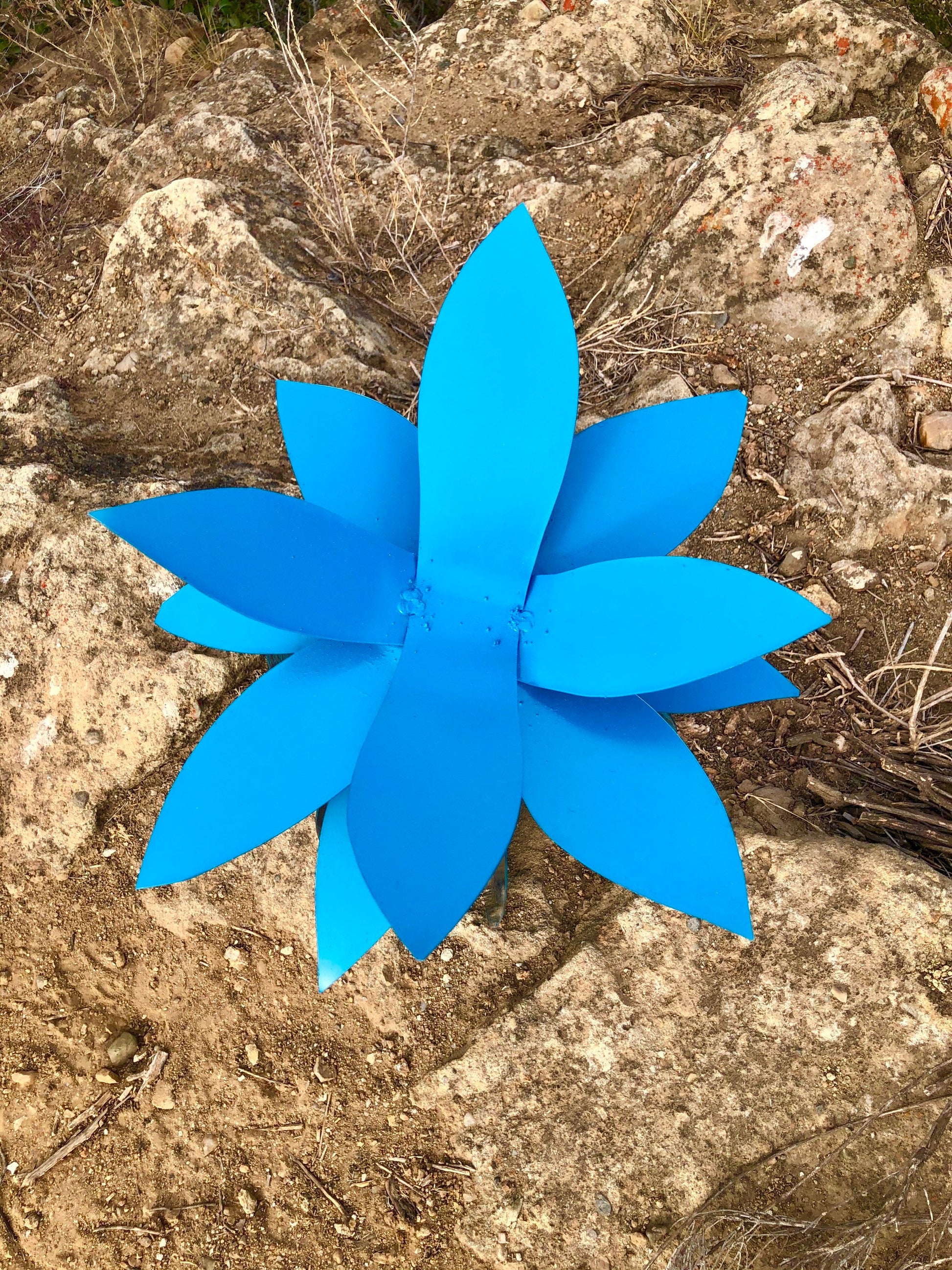 Axel Lily close-up of lagoon blue flower head — petal and cold rolled steel finish detail