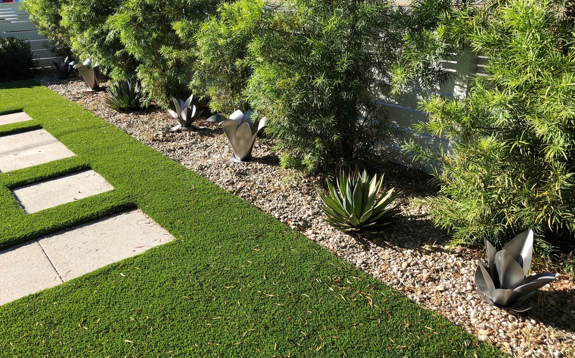 Silver steel flowers and living agaves repeated along a gravel border beside a garden path