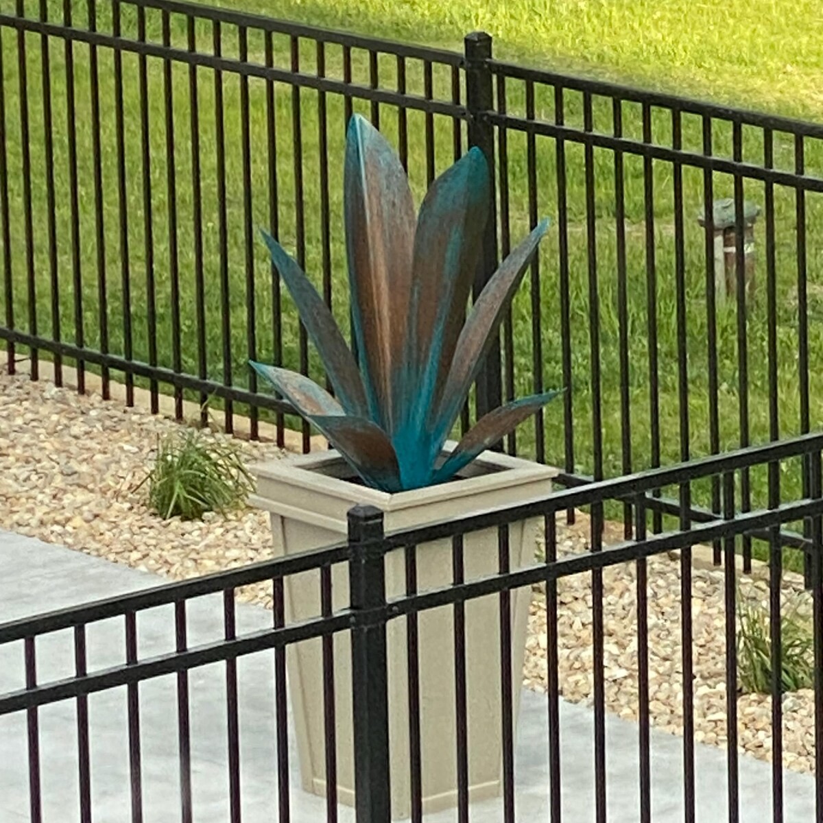 Green and rust steel agave in a pale tall planter beside a pool fence